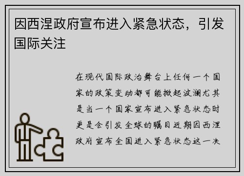 因西涅政府宣布进入紧急状态，引发国际关注