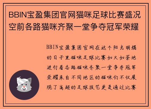 BBIN宝盈集团官网猫咪足球比赛盛况空前各路猫咪齐聚一堂争夺冠军荣耀